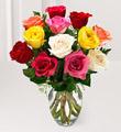 1 Dozen Mixed Color Roses