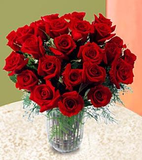Bouquet de dos docenas de rosas de tallo largo de FTD®